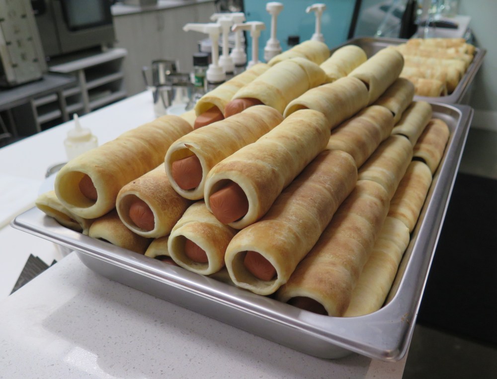 Hungry in Calgary | UTCA Dogs